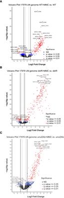 DNA damage response coregulator ddrR affects many cellular pathways and processes in Acinetobacter baumannii 17978